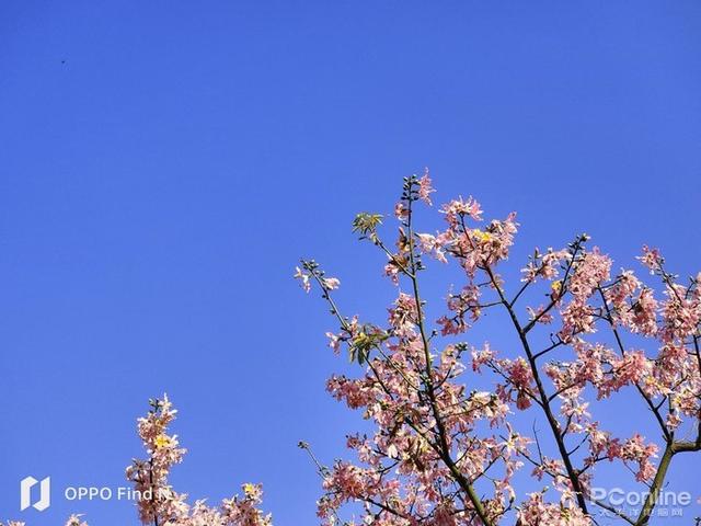 find n折疊手機(jī)參數(shù)（oppofindn折疊旗艦值得買(mǎi)嗎）(38)