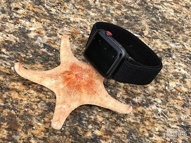 apple  watch  3深度測評（applewatch3現(xiàn)在建議買嗎）(1)