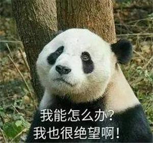 word如何打勾在方框（在文檔中打勾的3種炫酷的方法）(1)
