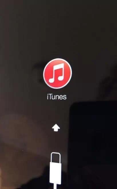 iphone已停用怎么辦（蘋果手機(jī)停用最簡單的解決方法）(5)