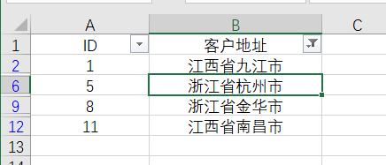 如何在excel中篩選（excel篩選技巧和方法）(6)