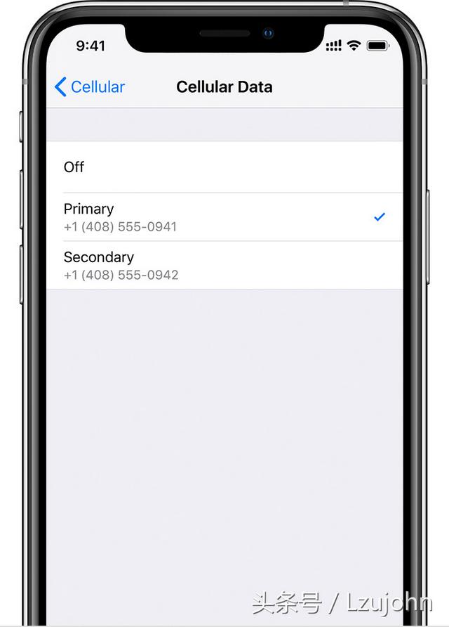 蘋果xsmax雙卡怎么用（iphonexs  max雙卡雙待最新方法）(9)