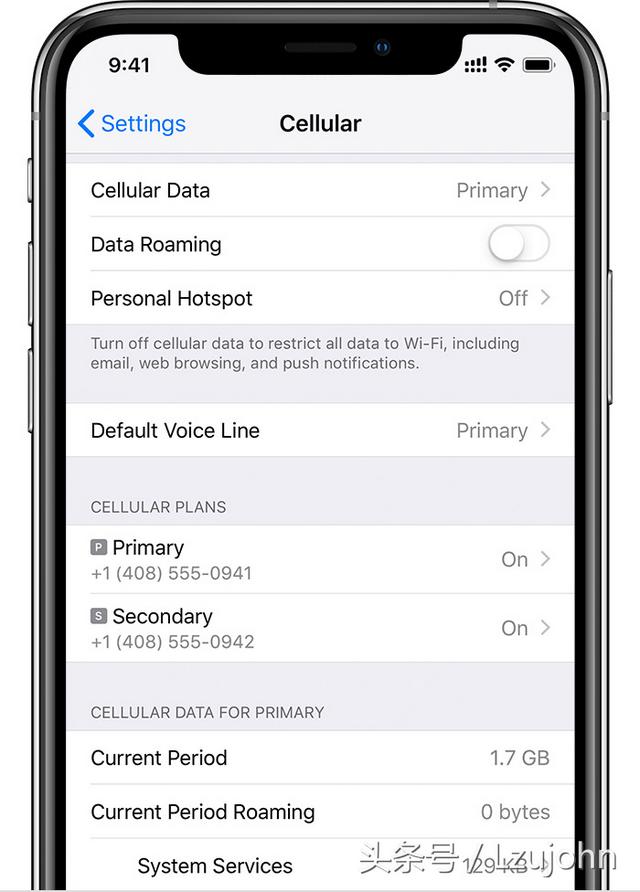 蘋果xsmax雙卡怎么用（iphonexs  max雙卡雙待最新方法）(10)