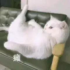 excel篩選功能怎么用（excel的高級篩選功能及使用技巧）(9)