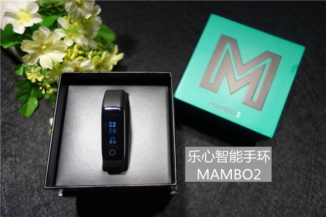 哪個品牌的智能手環(huán)好（十個排名靠前的智能手環(huán)品牌）(5)