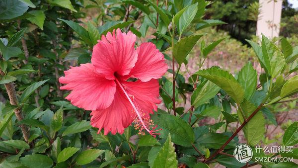 note5紅米參數(shù)（紅米note5現(xiàn)在還值得入手嗎）(23)