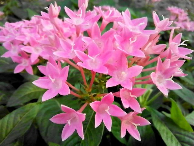 華為10z手機怎么樣（華為nova  10z值得買嗎測評）(12)