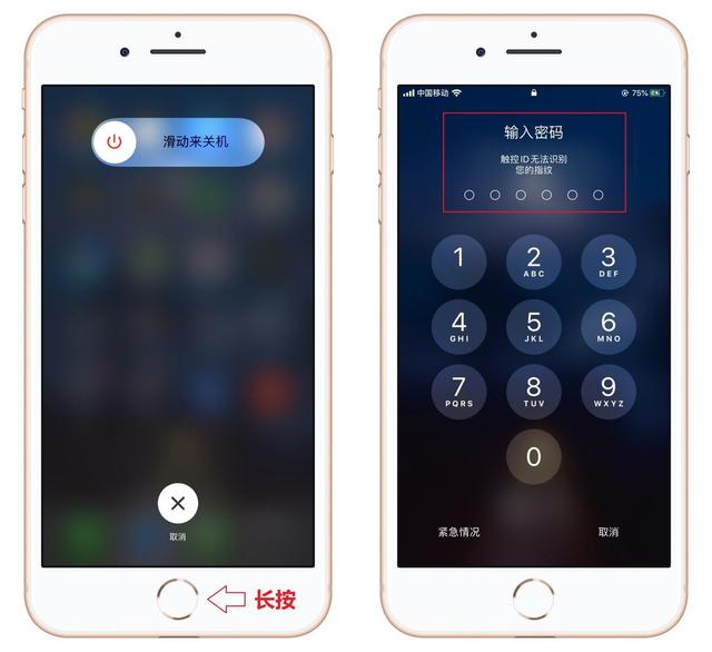 蘋果如何清除緩存和垃圾（iphone手機(jī)清理內(nèi)存的簡(jiǎn)單方法）(3)