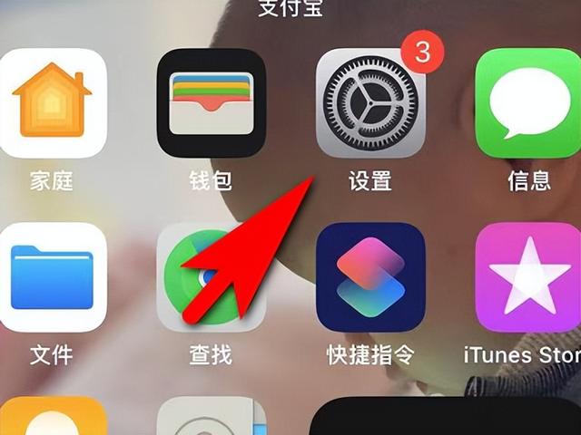 蘋果手機(jī)怎么查序列號（快速查詢蘋果手機(jī)序列號的3種方法）(2)
