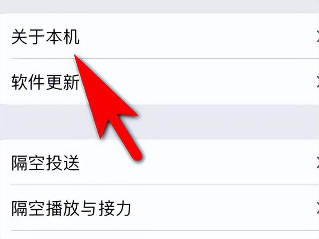 蘋果手機(jī)怎么查序列號（快速查詢蘋果手機(jī)序列號的3種方法）(4)
