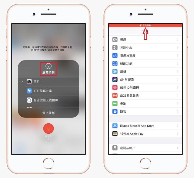 蘋(píng)果手機(jī)錄屏功能在哪里開(kāi)啟（教你如何打開(kāi)iphone自帶錄屏功能）(5)
