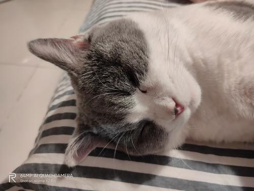 realme  x2 pro參數(shù)配置（realme  x2 pro  深度體驗(yàn)）(7)