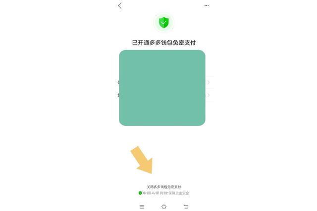 怎樣關(guān)閉拼多多免密支付功能（取消拼多多的免密支付操作方法）(6)