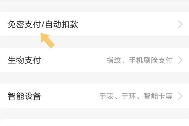 怎樣關(guān)閉拼多多免密支付功能（取消拼多多的免密支付操作方法）(13)