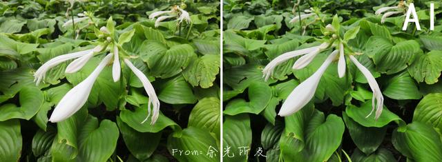 榮耀note10參數(shù)配置（榮耀note10還值得入手嗎）(4)