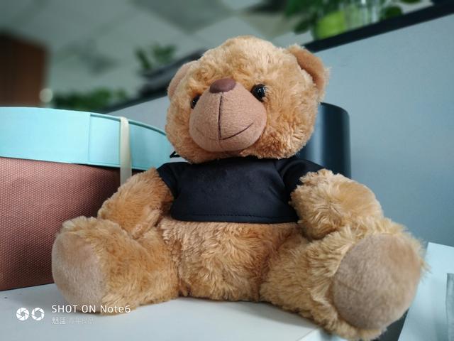 魅藍note6怎么樣（魅藍Note6體驗評測）(9)