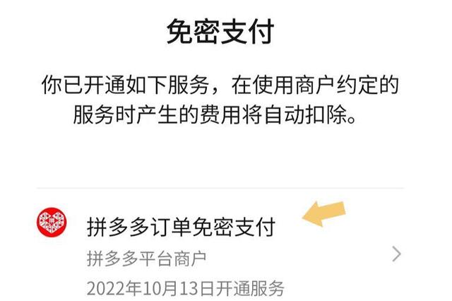 怎樣關(guān)閉拼多多免密支付功能（取消拼多多的免密支付操作方法）(10)