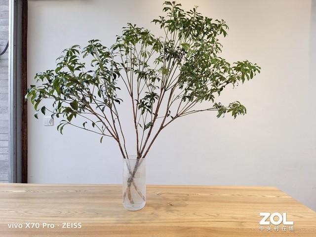 x70pro手機(jī)配置參數(shù)（vivo  x70pro測(cè)評(píng)值得入手嗎）(8)