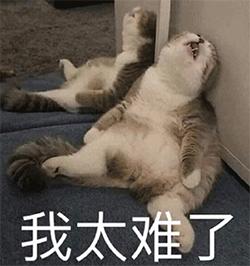 怎么刪除頁眉上的一條橫線（徹底去除word頁眉橫線操作方法）(1)