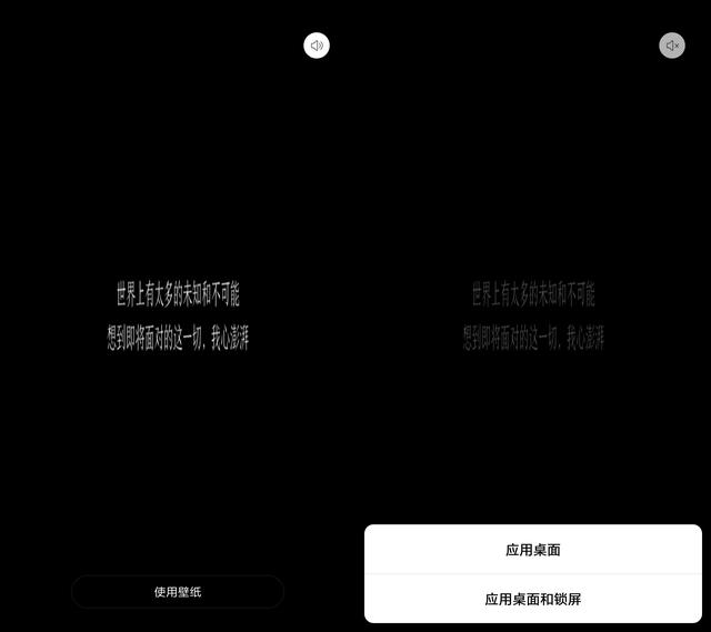 怎么把視頻做成壁紙（手把手教你用視頻做手機(jī)壁紙的方法）(10)