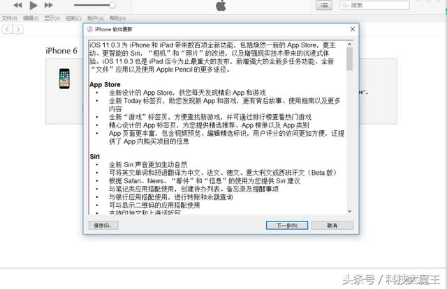 白蘋果了怎么恢復正常（蘋果手機白蘋果不開機如何解決）(4)