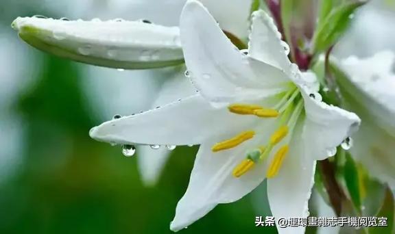 用五筆怎么打（五筆輸入法操作方法）(5)