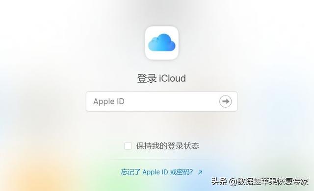 徹底刪除的照片怎么恢復（3個操作指南教你找回永久刪除的照片）(2)