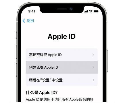蘋果手機怎么設置id（apple  id密碼重置的操作方法）(1)