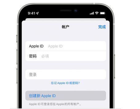 蘋果手機怎么設置id（apple  id密碼重置的操作方法）(2)