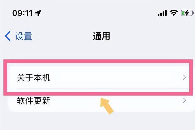 國(guó)行蘋果手機(jī)序列號(hào)查詢方法（iphone  13 pro  序列號(hào)怎么看）(3)
