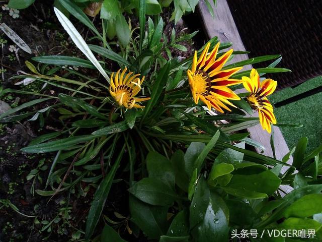 榮耀暢玩平板2參數(shù)配置（榮耀暢玩平板2值得入手嗎）(28)