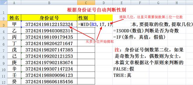 excel怎么自動(dòng)分男女（excel輸入身份證自動(dòng)出性別的方法）(2)