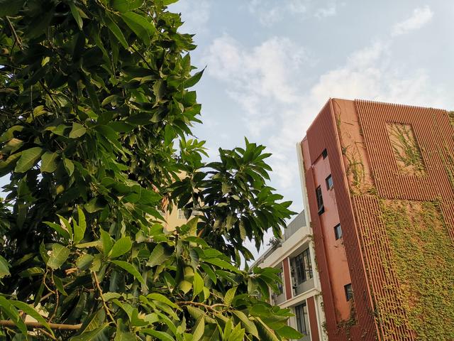 mate20參數(shù)配置（華為mate20 真實使用感受）(10)