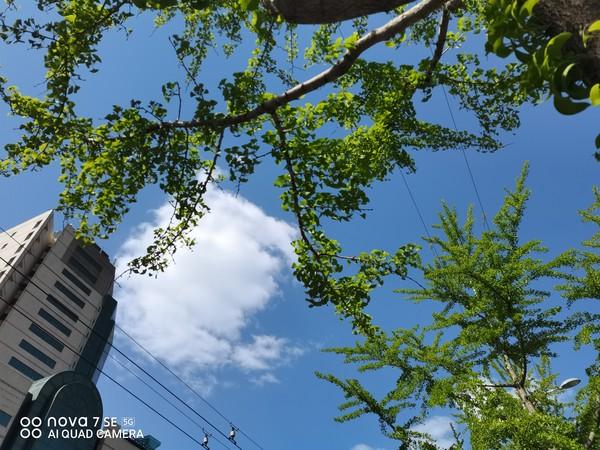 nova7se參數(shù)配置（華為nova7se值得入手嗎）(7)