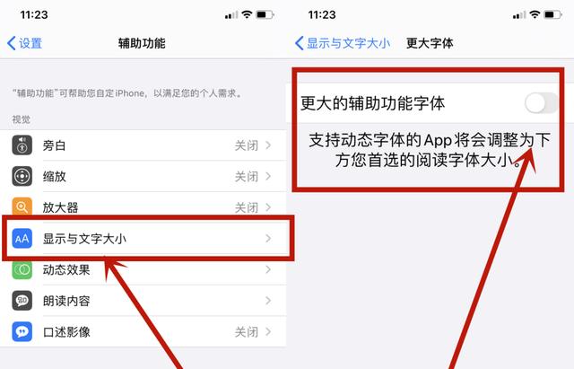 蘋果手機放大鏡功能在哪里（蘋果手機放大鏡的具體使用方法）(4)