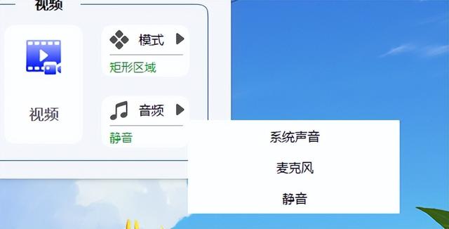 電腦怎么錄制屏幕和聲音（最簡(jiǎn)單的電腦屏幕錄制方法）(3)