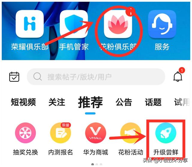 榮耀手機(jī)怎么升級鴻蒙系統(tǒng)（華為手機(jī)升級鴻蒙系統(tǒng)的3種操作方法）(4)