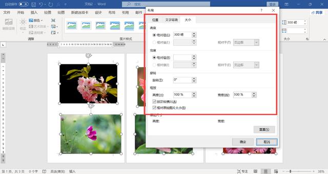 word頁面怎么調(diào)整大小（WORD文檔里快速調(diào)整圖片的尺寸方法）(6)
