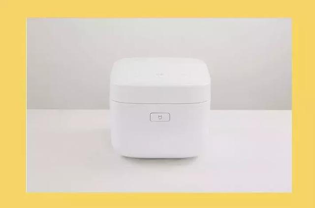家用電飯煲哪個(gè)牌子的質(zhì)量好（5個(gè)國(guó)內(nèi)外知名電飯煲品牌）(9)