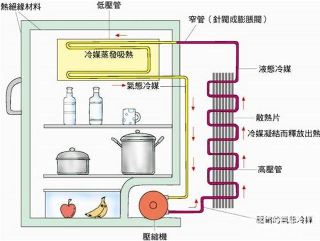 電冰箱風冷好還是直冷好（冰箱直冷和風冷怎么選）(2)