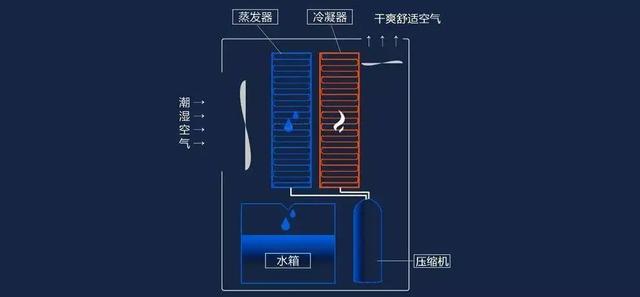 如何選購(gòu)除濕機(jī)（除濕機(jī)選購(gòu)小妙招）(1)