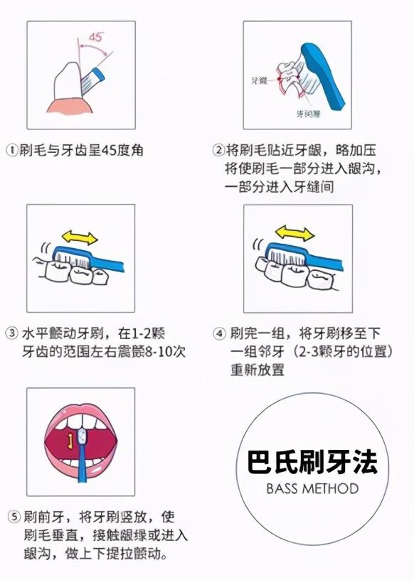 電動牙刷和普通牙刷的區(qū)別是什么（電動牙刷和普通牙刷究竟哪種好）(8)