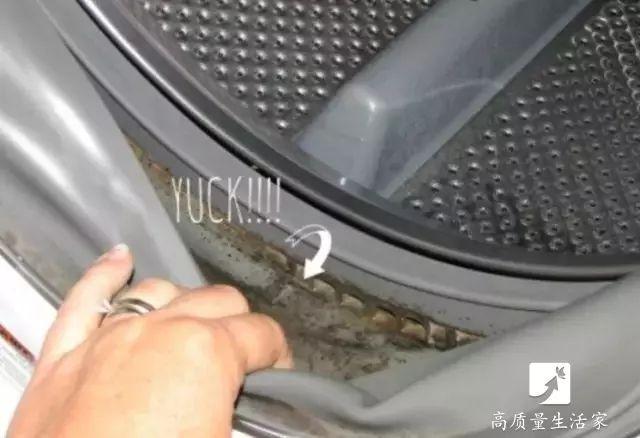 洗衣機怎樣清洗（洗衣機比馬桶還臟的解決方法）(12)