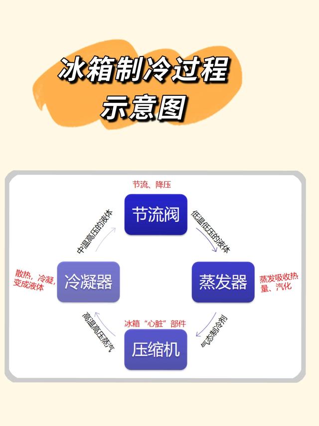 冰箱雙循環(huán)和單循環(huán)哪個(gè)好（冰箱怎么選不踩坑）(2)