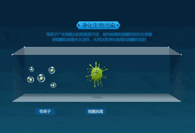 空氣凈化器有必要買嗎（正確選購空氣凈化器的注意事項）(4)