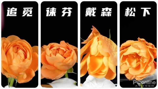 吹風(fēng)機(jī)哪個(gè)牌子好用不傷頭發(fā)（四款高速吹風(fēng)機(jī)橫評）(7)