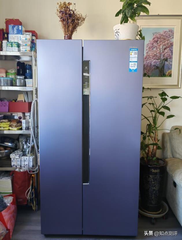 海爾冰箱哪款性價(jià)比高推薦（選購冰箱的技巧和型號(hào)推薦）(16)