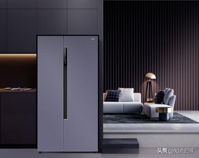海爾冰箱哪款性價(jià)比高推薦（選購冰箱的技巧和型號(hào)推薦）(17)
