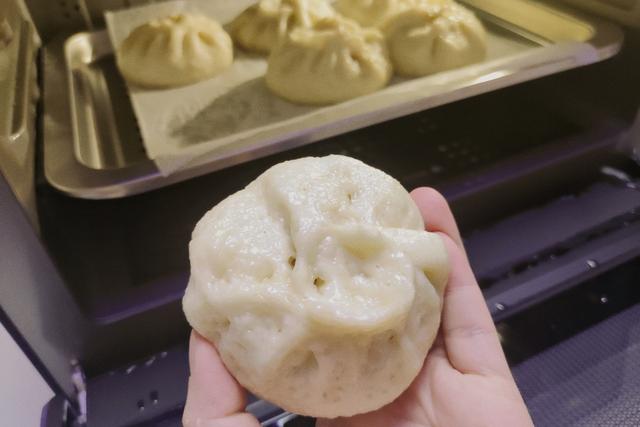 蒸箱哪個(gè)牌子好（公認(rèn)最好用的3款蒸烤箱）(17)