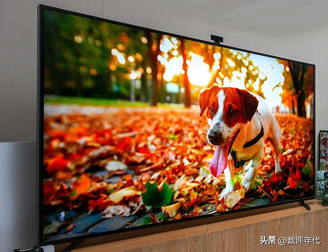 什么電視機(jī)牌子最好（2022彩電滿意度排行）(9)